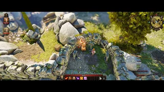 Divinity: Original Sin Enhanced Edition Ultrawide (Linux)