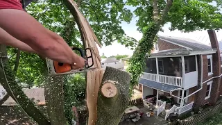 Urban tree work// Storm damaged maple