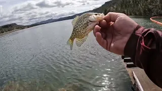 Crappie Ochoco reservoir