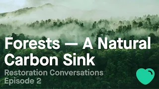 Restoration Conversations Episode 2: Forests – A Natural Carbon Sink