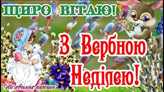 З Вербною Неділею! Чудове Вітання з Вербною Неділею! ВІТАЮ! Зі Святом Вхід Господній в Єрусалим!