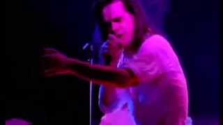 New Morning - Nick Cave & the Bad Seeds