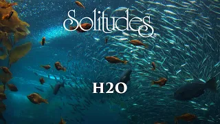 1 hour of Relaxing Music: Dan Gibson’s Solitudes - H2O (Full Album)
