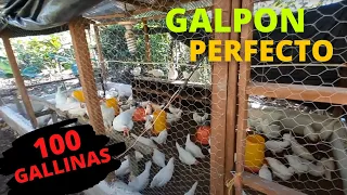 Como hacer un GALPON casero para Gallinas y Pollos de engorde FÁCIL para 100 gallinas