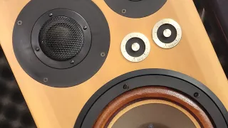 pioneer DV- S969avi