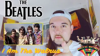 Drummer reacts to "I Am The Walrus" by The Beatles