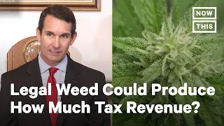 State Auditor Lays Out Staggering Math of Legal Weed | NowThis