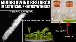 Groundbreaking Research in Artificial Photosynthesis - Doing What Nature Couldn't