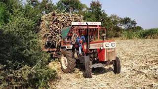 full load sugercane tractor swaraj 744 fe