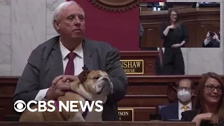 West Virginia governor flashes his dog's rear end, tells Bette Midler and other critics to kiss it