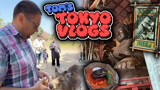 Jurassic Park Food, Tom Feeds Deer in Nara, and Giant Buddha - Tom’s Tokyo Vlogs #8