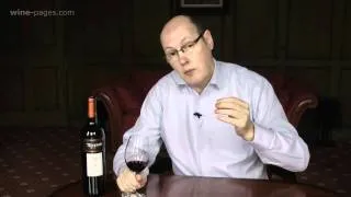 Trivento Syrah Malbec 2010, wine review