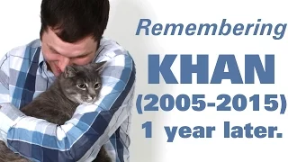 One year since my cat died. (Remembering Khan)