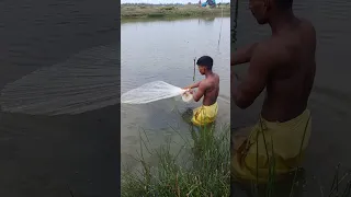 New fishing amazing video #shorts #short #viralvideo