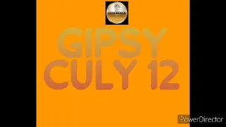 GIPSY CULY 12 CELY ALBUM