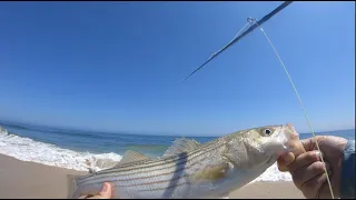 Surf Fly Fishing Tips - Striped Bass Break Dance