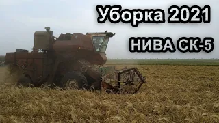 Уборка 2021! Нива СК-5 Битва за урожай!