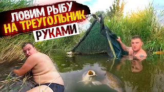 ЛОВИМ РЫБУ НА ТРЕУГОЛЬНИК! ЛОВИМ РЫБУ РУКАМИ! НАШЛИ ЦИПЛЯТ  ФАЗАНА! ВАРИМ УХУ!