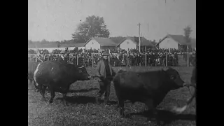 A Rube Couple At A County Fair (1904 Original Black & White Film)