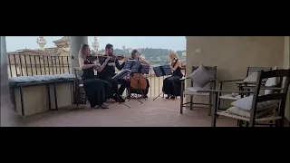 Pachelbel Canone- Quartetto d'Archi Firenze Classica