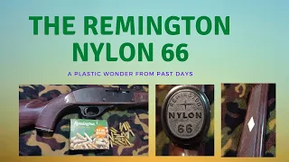 The Remington Nylon 66 (A Plastic Wonder From Days Past)