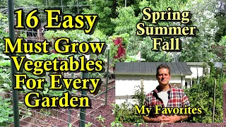 16 Must Grow Garden Vegetables for New Gardeners: Easy to Grow Spring, Summer & Fall Crops