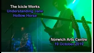 The Icicle Works - Norwich Arts Centre