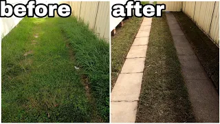 Years of growth- Hidden concrete EXPOSED! Mowing, edging, pressure washing