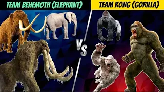 TEAM BEHEMOTH (ELEPHANT) VS TEAM KONG (GORILLA) EPIC BATTLE!!!