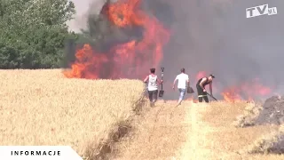 Duży pożar w okolicach Leszna!
