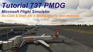 Tutorial PMDG 737-700/800: Do cold & dark até o desligamento dos motores! Como voar o PMDG 737-800