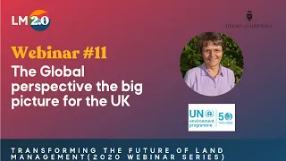 Webinar 11 - The Global perspective the big picture for the UK