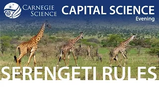 Dr. Sean Carroll: The Serengeti Rules