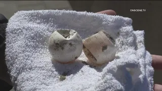 Mystery eggs discovered at Imperial Beach | What are they?