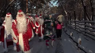 Резиденция Деда Мороза открылась в Новосибирском зоопарке