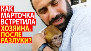 the monkey started crying when he met his dad