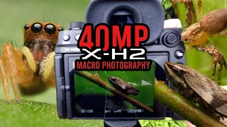 Fujifilm X-H2 40MP Macro Photography