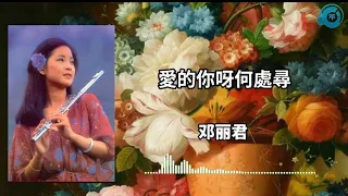 愛的你呀何處尋《邓丽君》love you where can I find Teresa Teng @mm-il9qu