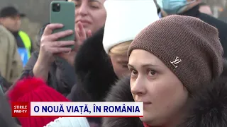 Refugiații ucraineni care au venit în România își caută de muncă la noi în țară