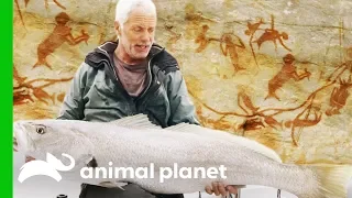 Investigating The Real Creature Behind Legends Of Mermaids | Jeremy Wade's Dark Waters