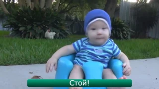 Vine Video  Лучшие ролики недели #15 Хулиганы издеваются над Арни