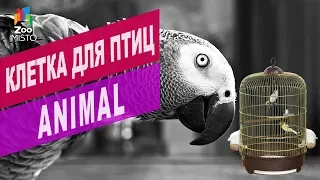 Клетка для птиц Animal | Обзор клетка для птиц Animal