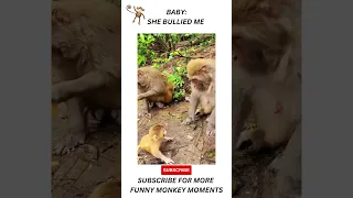 Funny Monkey Compilation #shorts