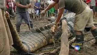 O Maior Crocodilo do Mundo Na Filipinas #RecordTV