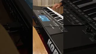 Varnenski Kuchek Live! Korg pa600 Варненски кючек