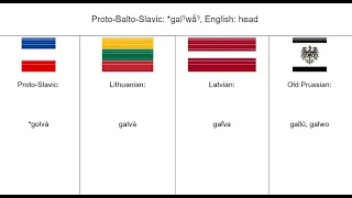 Baltic Languages (+Proto-Slavic) | Word Comparison