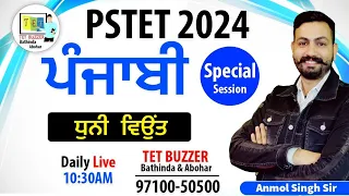 PSTET 2024 | Punjabi ਧੁਨੀ ਵਿਉਂਤ | Special Session | TET BUZZER