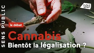 Cannabis : Bientôt la légalisation ?