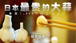 蹭到日本最贵“蒜你狠”，一头要50元的蒜味道究竟有多特别？！「纵贯日本 22」