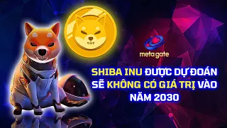 SHIB được dự đoán sẽ không có giá trị vào năm 2030 | #Shorts